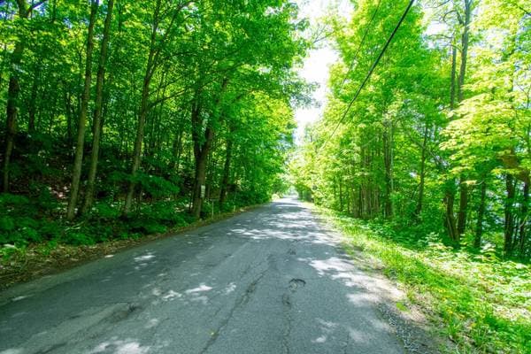 Rue Principale O., Berthier-sur-Mer — photo 34