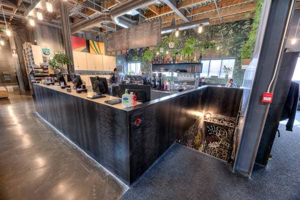 6595 -6595A Rue St-Urbain, Montréal (Rosemont/la Petite-Patrie) — photo 19
