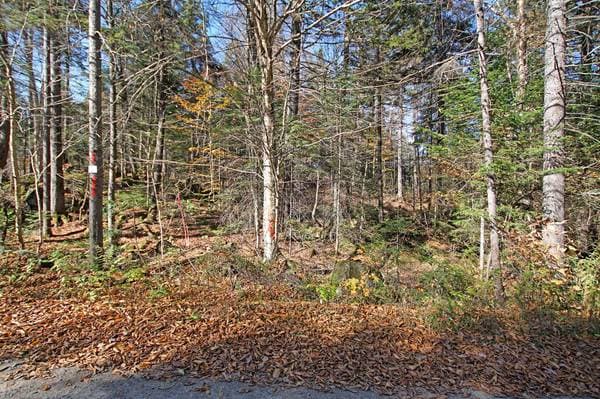 Ch. des Lacs, Wentworth — photo 3