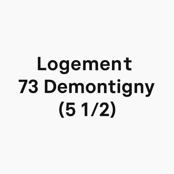 71 -73 Rue Demontigny, Sainte-Agathe-des-Monts — photo 2