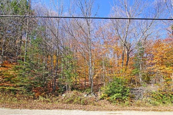 25 Ch. des Lacs, Wentworth — photo 3