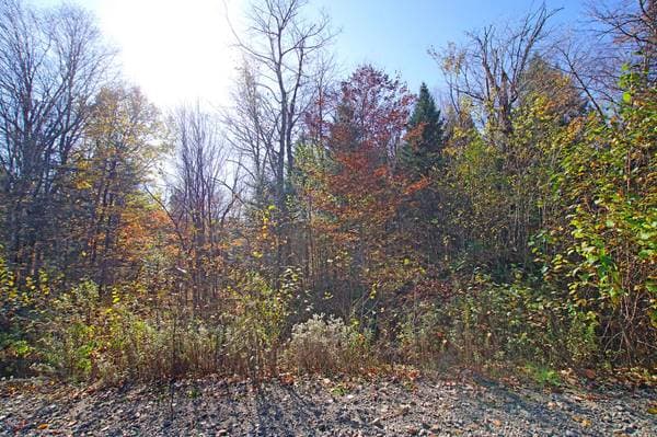 5763 Ch. des Lacs, Wentworth — photo 4