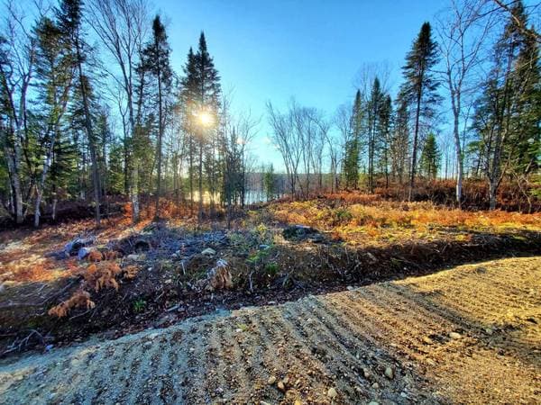 1050 Ch. du Lac-Macaza, La Macaza — photo 11