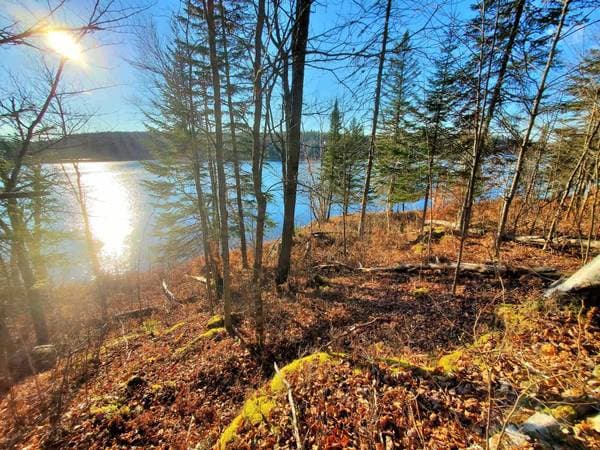 1050Z Ch. du Lac-Macaza, La Macaza — photo 8