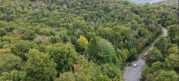 20 Ch. Frigon, Val-des-Lacs — photo 1
