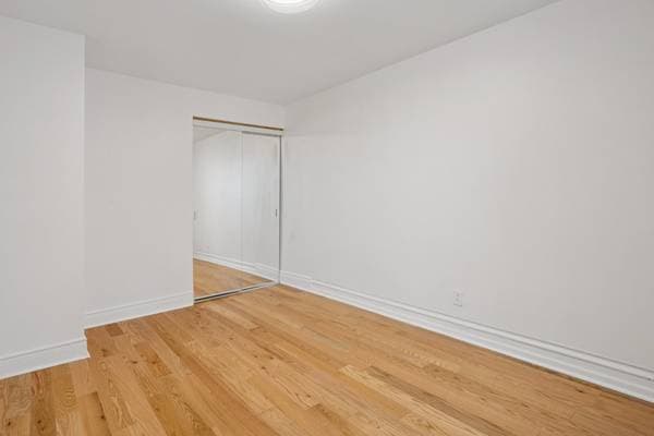 2308 Av. Hector, Montréal (Mercier/Hochelaga-Maisonneuve) — photo 12