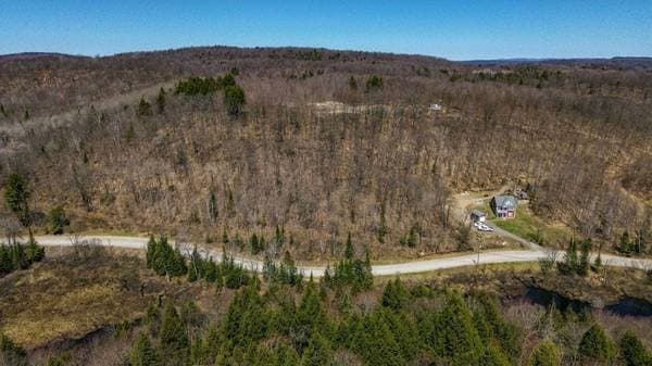 323 Ch. du Ruisseau, Val-des-Monts — photo 5