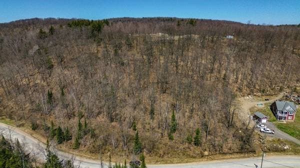323 Ch. du Ruisseau, Val-des-Monts — photo 6