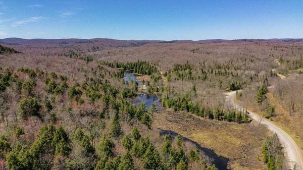 323 Ch. du Ruisseau, Val-des-Monts — photo 8