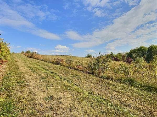 561 Route de l'Île, Duhamel-Ouest — photo 14