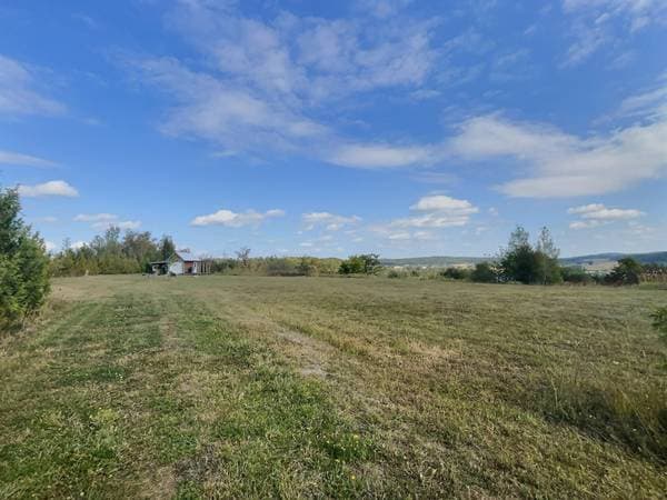 561 Route de l'Île, Duhamel-Ouest — photo 8