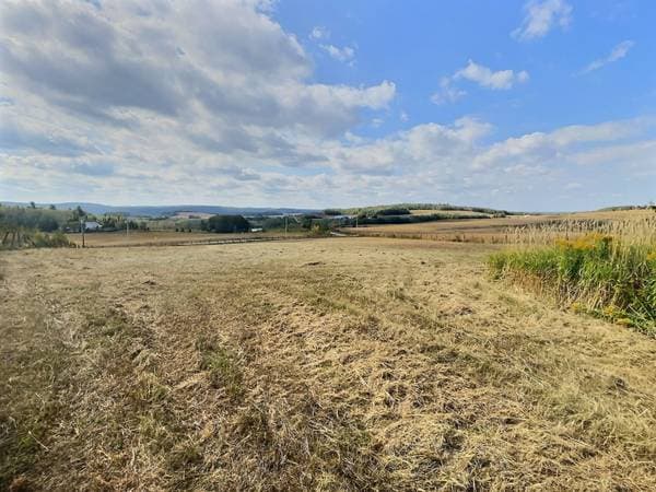 561 Route de l'Île, Duhamel-Ouest — photo 9