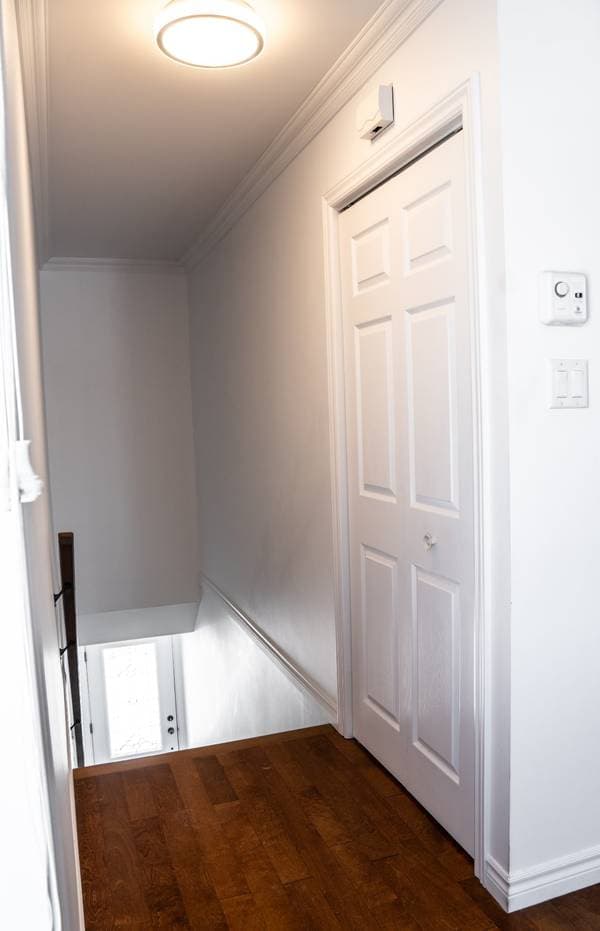407 Rue Léon-Dion #4, Rimouski — photo 4