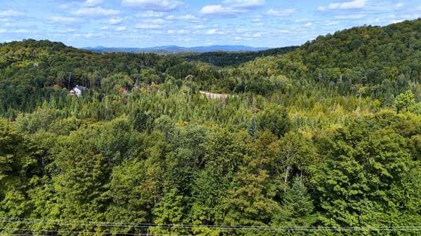 Ch. des Pins, Sainte-Agathe-des-Monts — photo 2