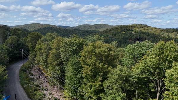 Ch. des Pins, Sainte-Agathe-des-Monts — photo 3