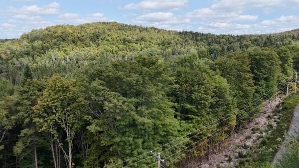 Ch. des Pins, Sainte-Agathe-des-Monts — photo 4