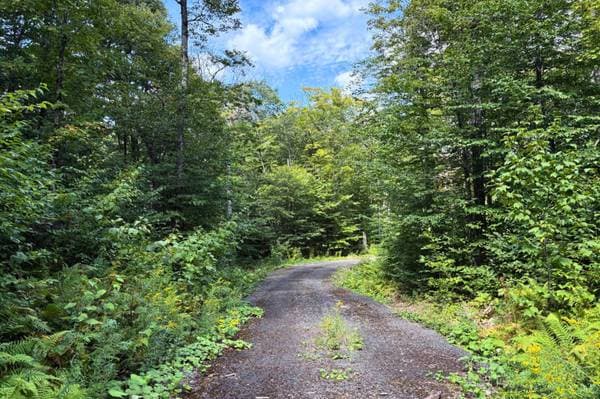 Rue de l'Horizon, Morin-Heights — photo 9
