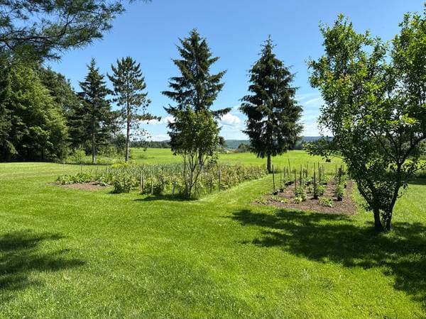 8 Route 132 O., Sainte-Anne-de-la-Pocatière — photo 30