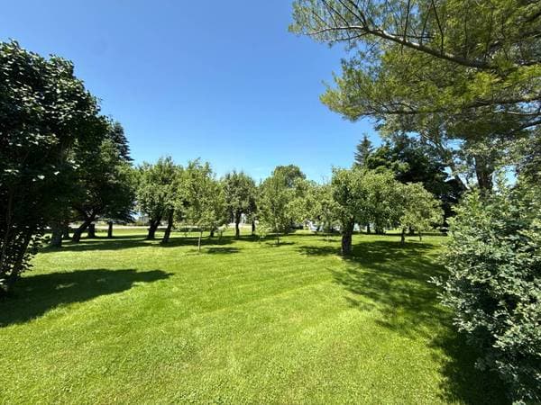 8 Route 132 O., Sainte-Anne-de-la-Pocatière — photo 31