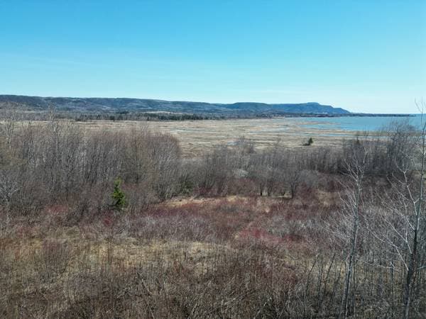 land — Route de Miguasha E., Nouvelle