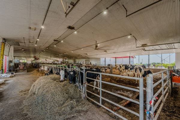 311 2e-et-3e Rang O., Les Hauteurs — photo 49
