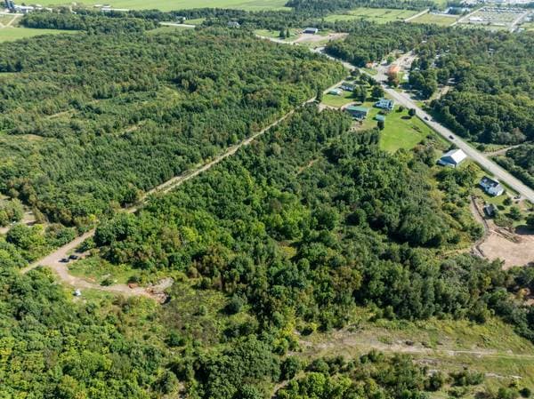 67 Mtée des Nyctales, Montmagny — photo 14