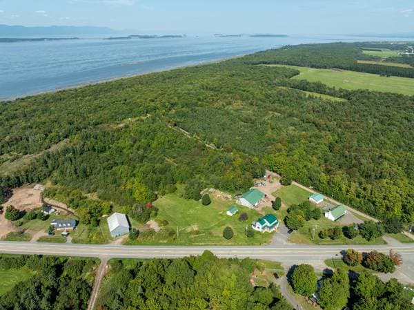 67 Mtée des Nyctales, Montmagny — photo 15