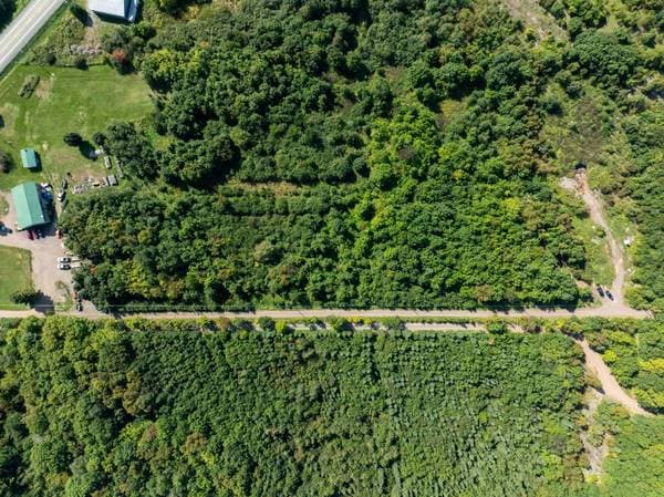 67 Mtée des Nyctales, Montmagny — photo 16