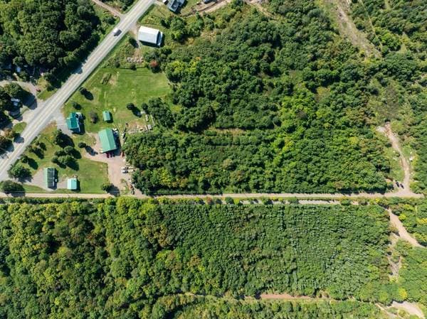 67 Mtée des Nyctales, Montmagny — photo 17