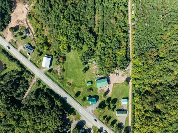 67 Mtée des Nyctales, Montmagny — photo 18