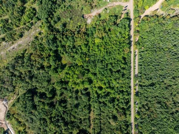 67 Mtée des Nyctales, Montmagny — photo 19