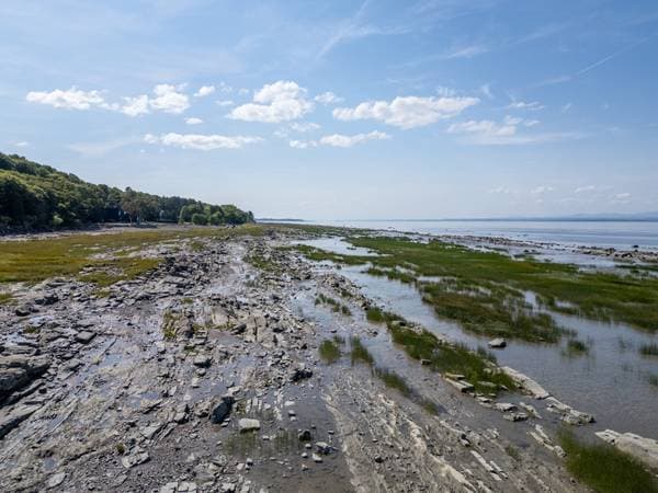 67 Mtée des Nyctales, Montmagny — photo 23
