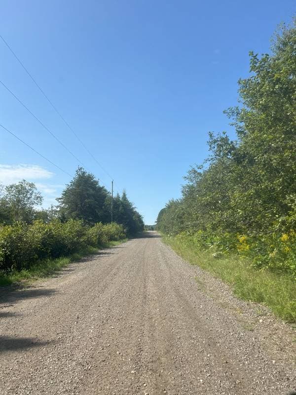 6e Rang, Sainte-Anne-du-Lac — photo 12