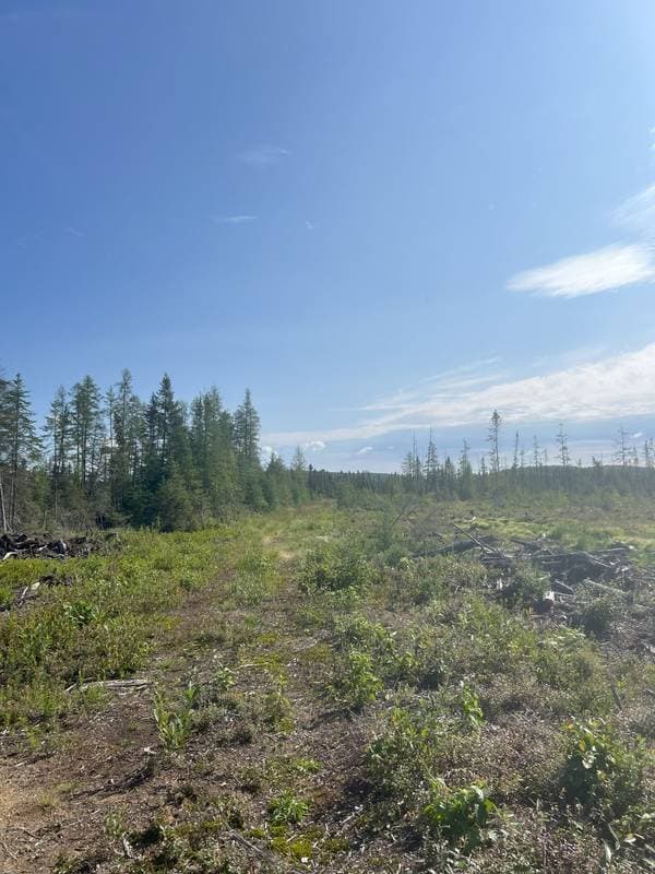 6e Rang, Sainte-Anne-du-Lac — photo 15