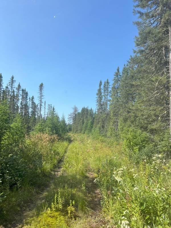 6e Rang, Sainte-Anne-du-Lac — photo 18