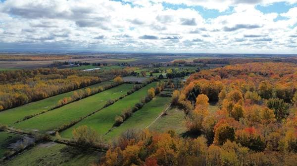 2376 3e Rang, Sainte-Justine-de-Newton — photo 22