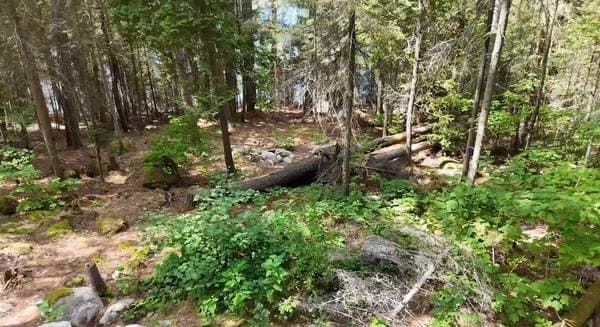 4019 Ch. du Boom-Camp, Témiscaming — photo 16