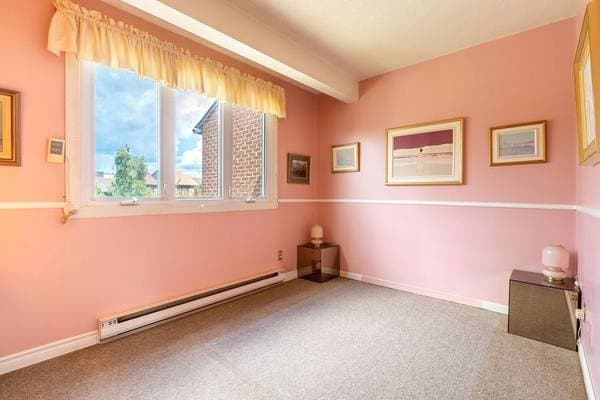 255 Rue Bellevue, La Prairie — photo 21