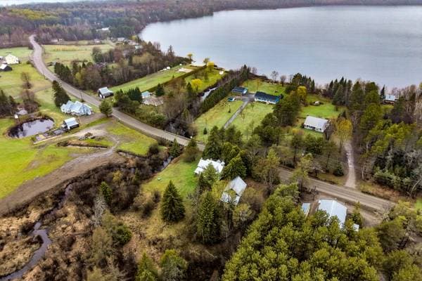 360 Ch. du Lac-Deligny, Mandeville — photo 33
