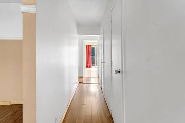 220 8e Rang, Saint-Robert-Bellarmin — photo 16