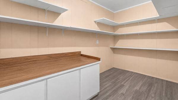 220 8e Rang, Saint-Robert-Bellarmin — photo 9
