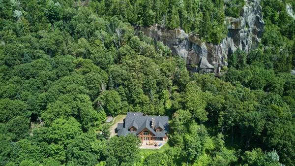 40 Ch. du Premier-de-Cordée, Lac-Supérieur — photo 49