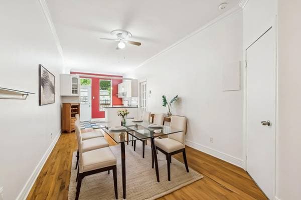 5534 Rue St-Denis, Montréal (le Plateau-Mont-Royal) — photo 3