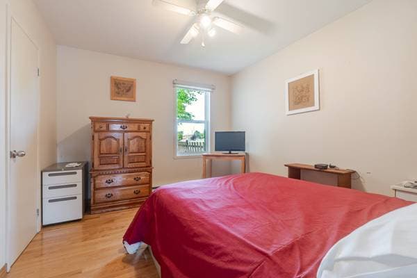 540 Rue Charest, Thetford Mines — photo 20