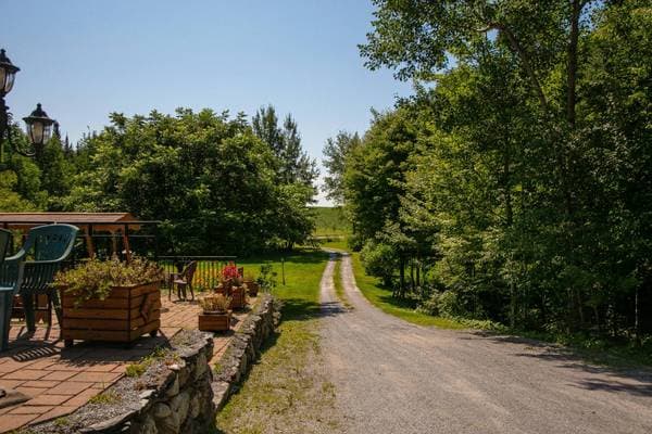 254 Rue Miquelon, Saint-Camille — photo 46
