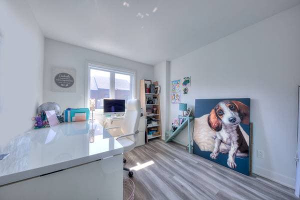 384Z Rue du Grenadier, Saint-Constant — photo 25