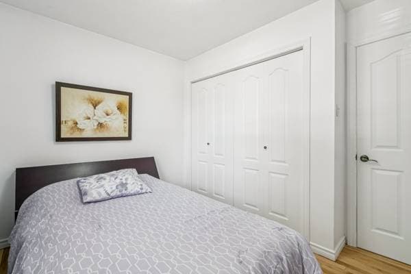 4 Rue Cardinal, Montréal (L'Île-Bizard/Sainte-Geneviève) — photo 16