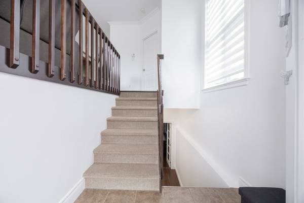 45 Rue des Hémérocalles, Sainte-Brigitte-de-Laval — photo 4