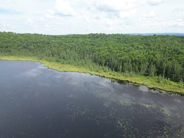 6e Rang, Sainte-Anne-du-Lac — photo 10