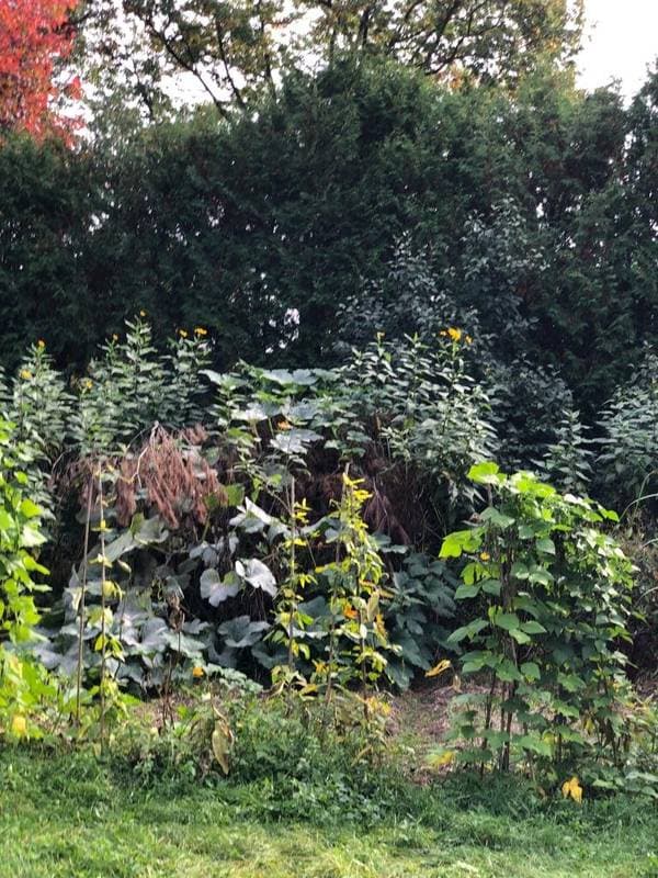 , — photo 20